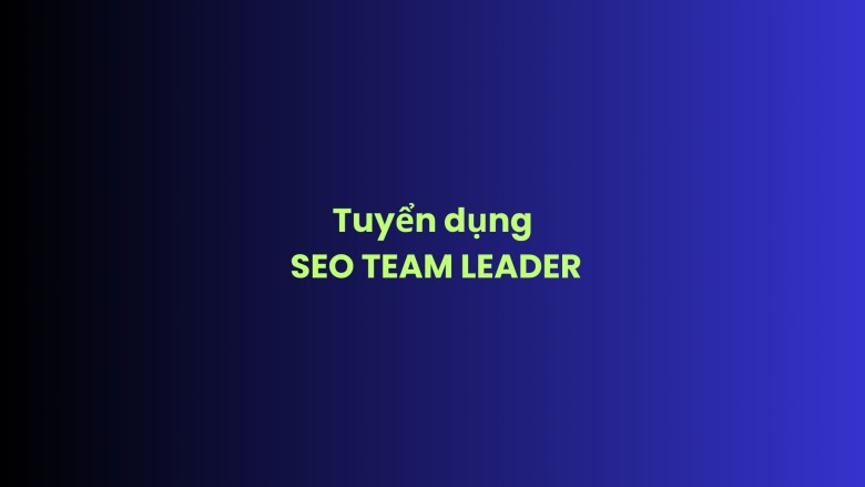 SEO TEAM LEADER